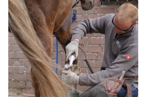 Goed gereedschap is het halve werk: machinaal bekappen