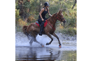 Hoefschoenen in paardensport: endurance