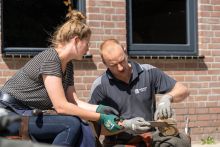 cursus bekappen HoofWear