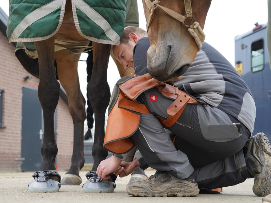 KWPN met hoefschoenen bij HoofWear