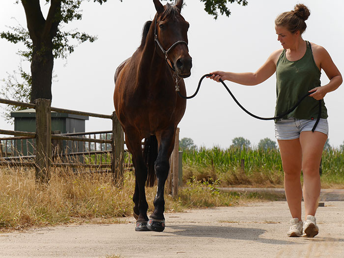 NL kampioen TREC Carolien Esselink test Equine Fusion 24/7