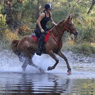 Hoefschoenen in paardensport: endurance