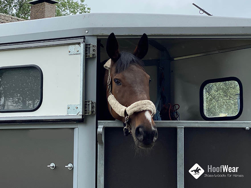 5 Redenen om te kiezen voor een pasconsult bij HoofWear