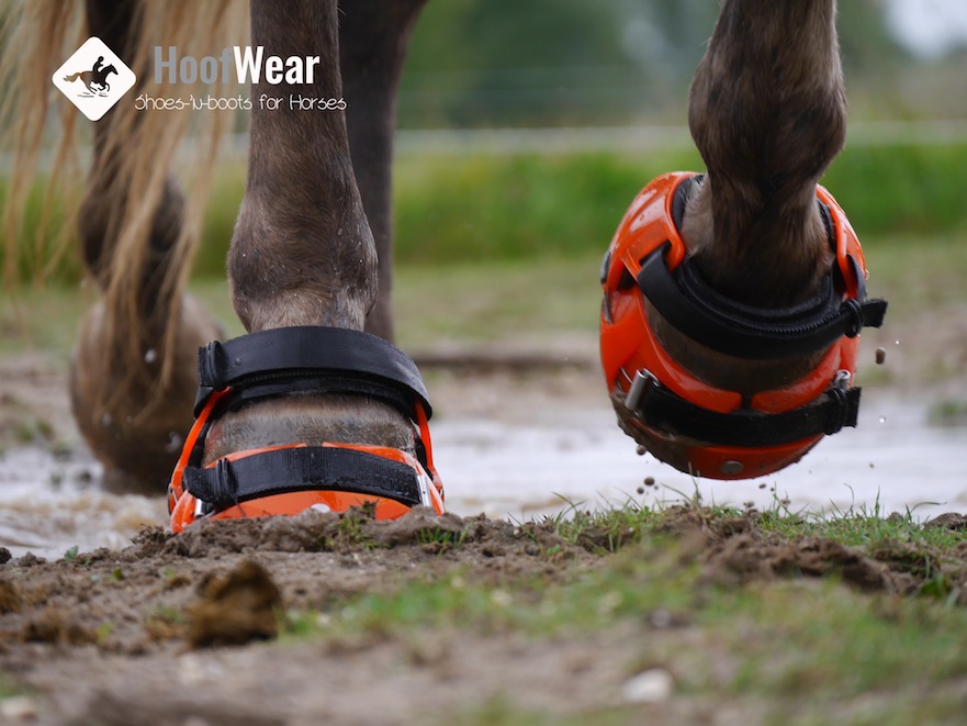 Hoefschoenen in de modder of op het strand