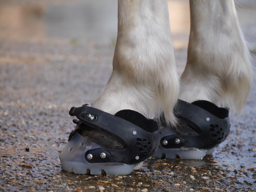 passende floating boot hoefschoenen