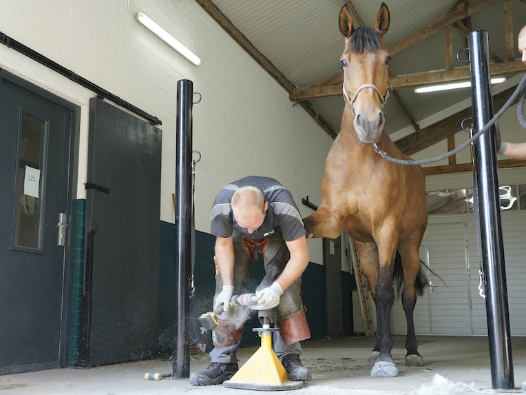 Hoefspecialist Klaas Feuth at work