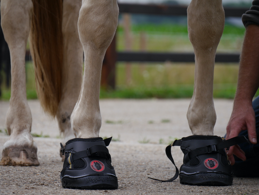 Soms is een overgangshoefschoen aan te raden