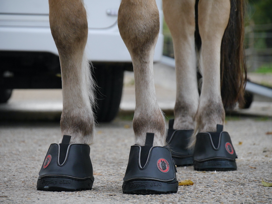 Equine Fusion Active hoefschoenen