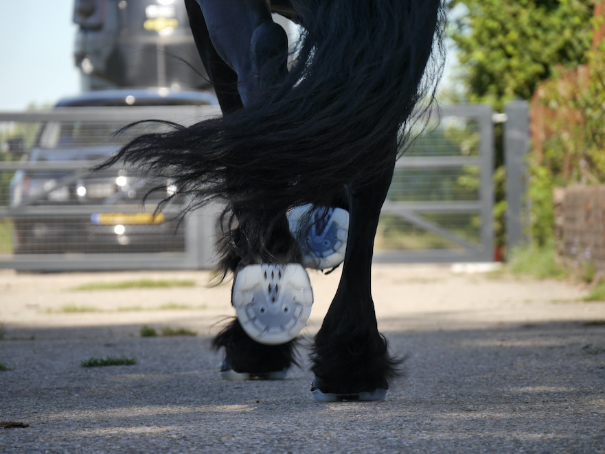 Hoefschoenen voor paardensport bij HoofWear