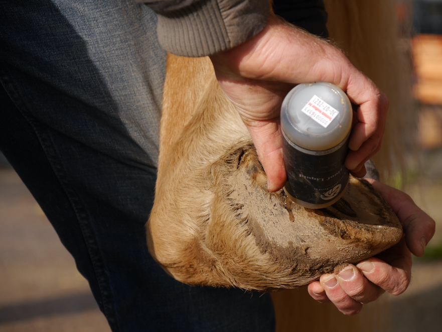 Unique-horn Silver Hoof Liquid bij rotstraal