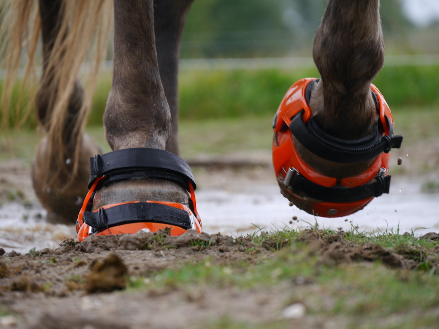 Het kiezen van de juiste hoefschoenen