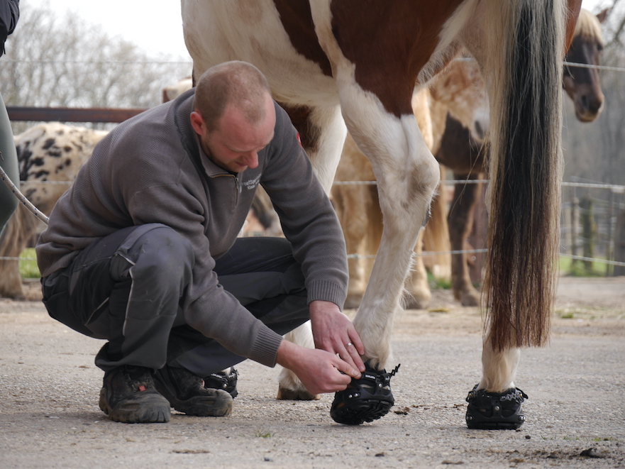 Hoefschoenen laten aanmeten door Hoefspecialist Klaas Feuth