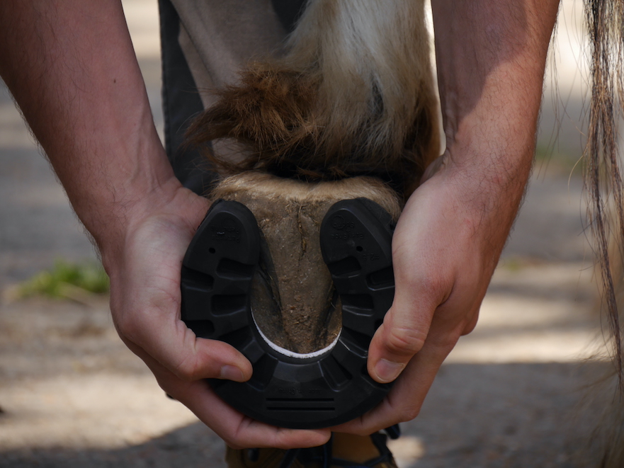 EasyShoe Sport kunststof lijmbeslag voor paarden