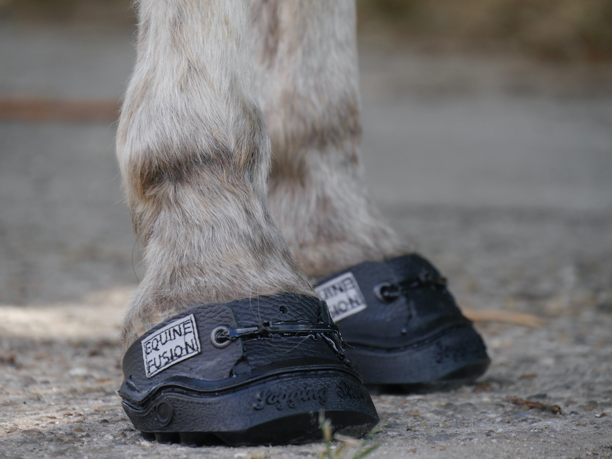 24/7 lijmschoenen voor paarden en pony's bij te korte hoeven