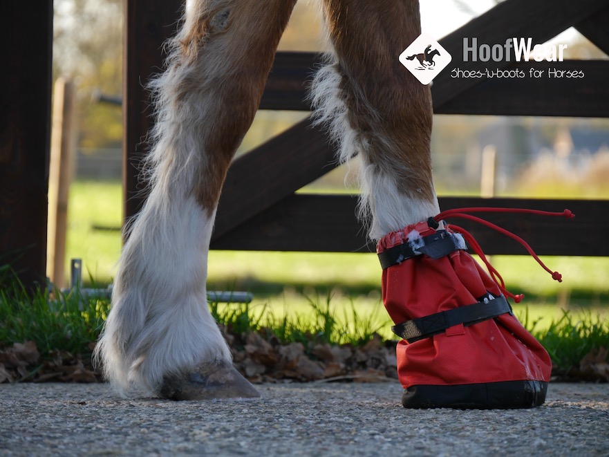 De hoef weken bij een hoefzweer met Unique-horn Pure Hoof Soaker