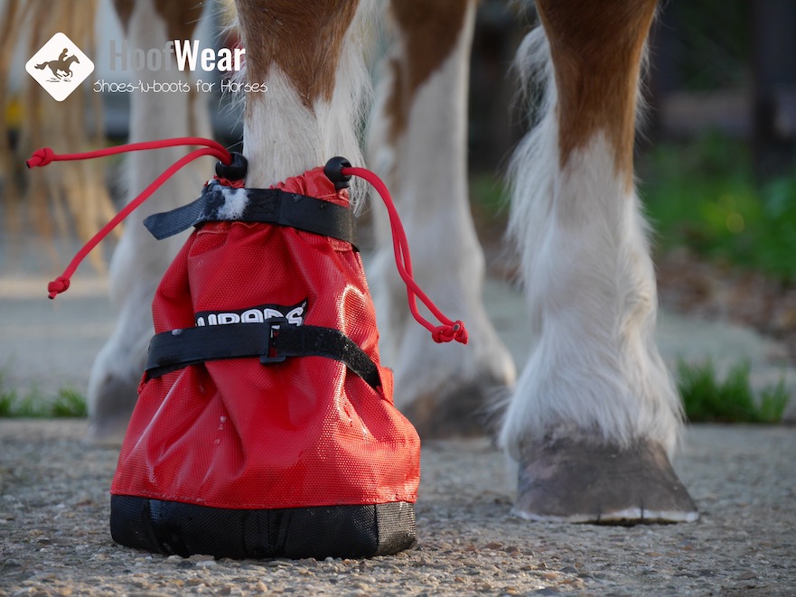 Hoof Wraps soaker: weekzak vullen met Pure Hoof Soaker van Unique-horn bij hoefzweer