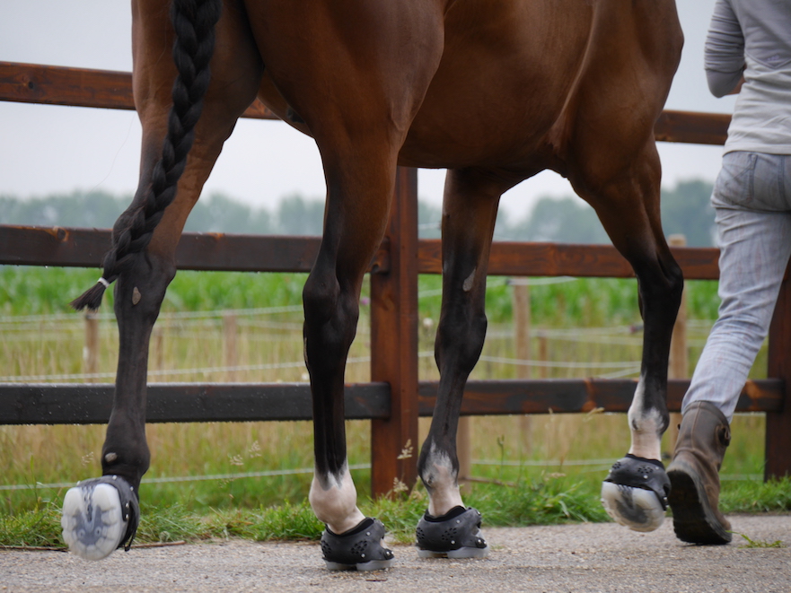 floatingboots hoefschoenen passen bij hoofwear