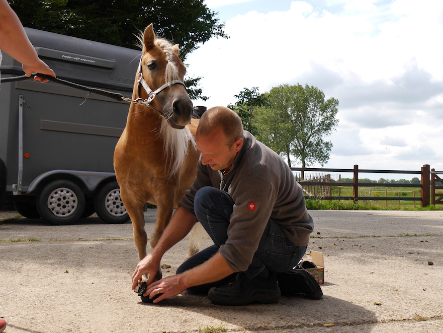 Hoefschoenen om te mennen met je shetlander bij HoofWear