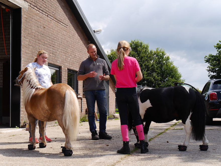 Uitgebreid advies over hoefschoenen bij HoofWear