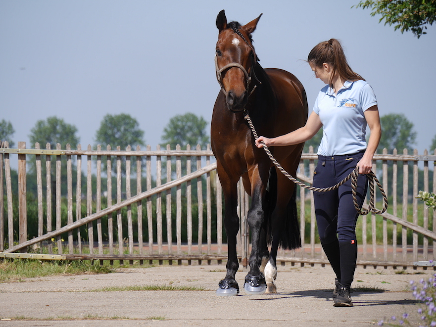 hoefschoenen testen bij hoofwear