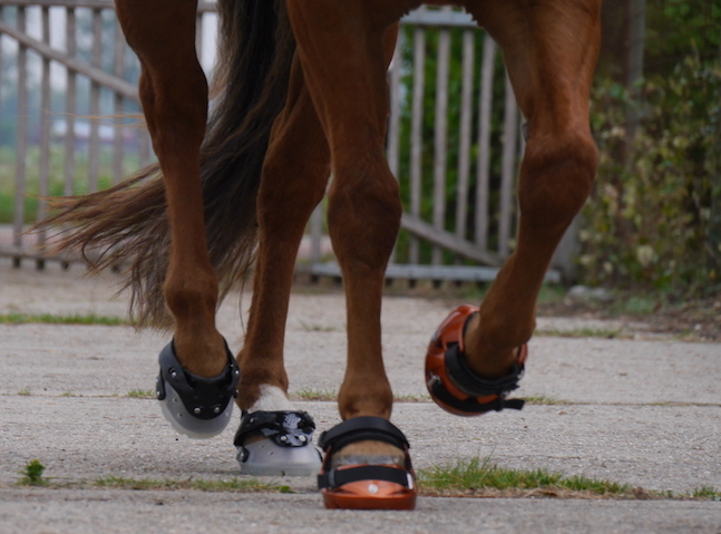 HoofWear is niet merkgebonden