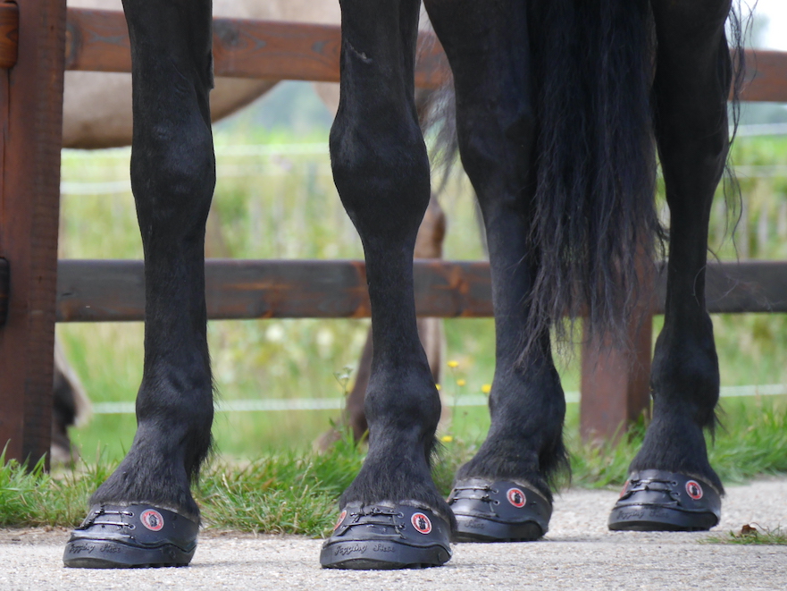 Equine Fusion 24/7 lijmschoen voor paarden