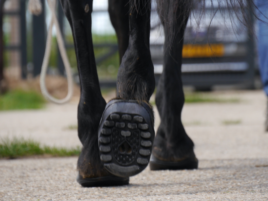 Lijmhoefschoenen van Equine Fusion