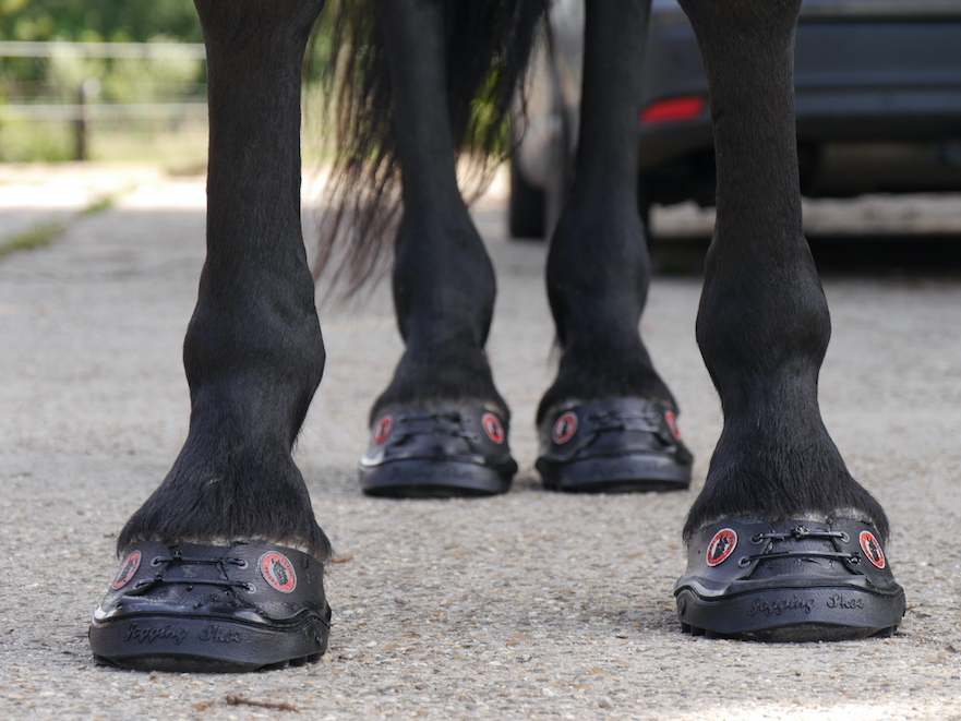 24/7 lijmschoenen voor paarden en pony's bij te korte hoeven