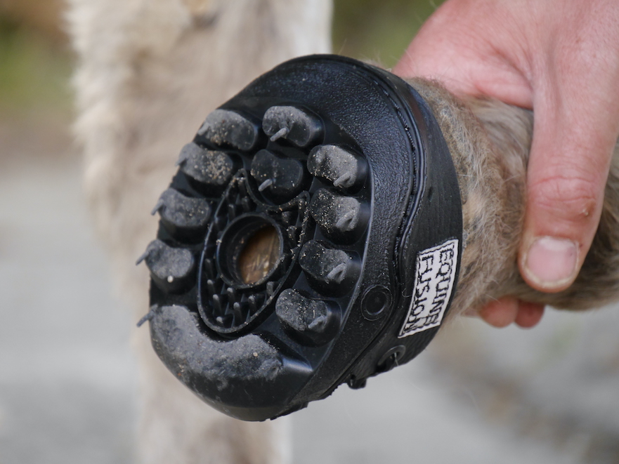 Equine Fusion 24/7 lijmschoen voor pony's