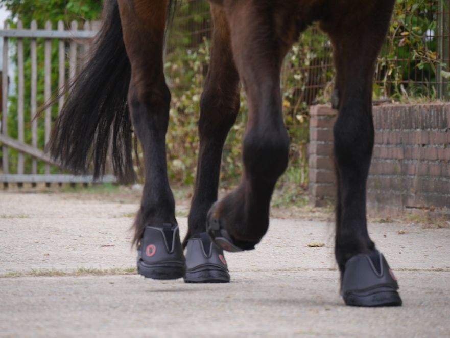 recreatief rijden met hoefschoenen