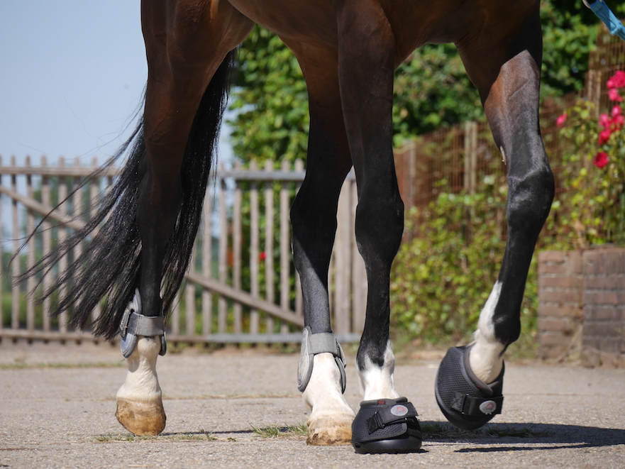 hoefschoenen in plaats van hoefijzers