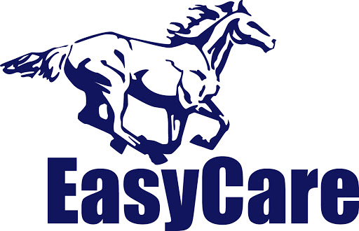 Easyboot logo