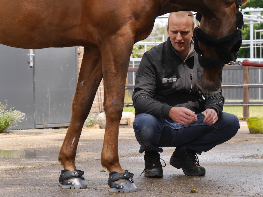 paard op hoefschoenen