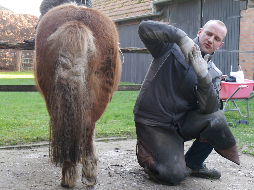 les bekappen eigen paard Klaas Feuth