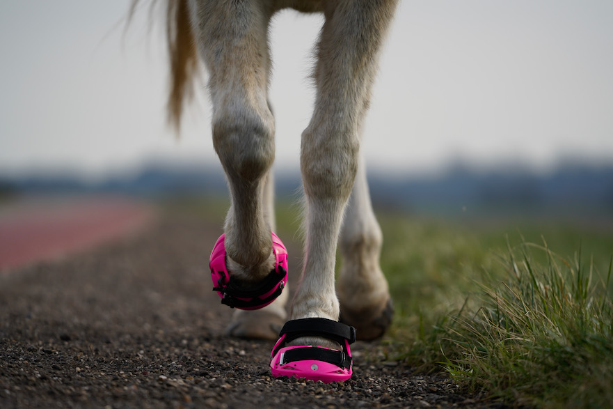 Limited Editition PINK Renegade Viper hoefschoenen